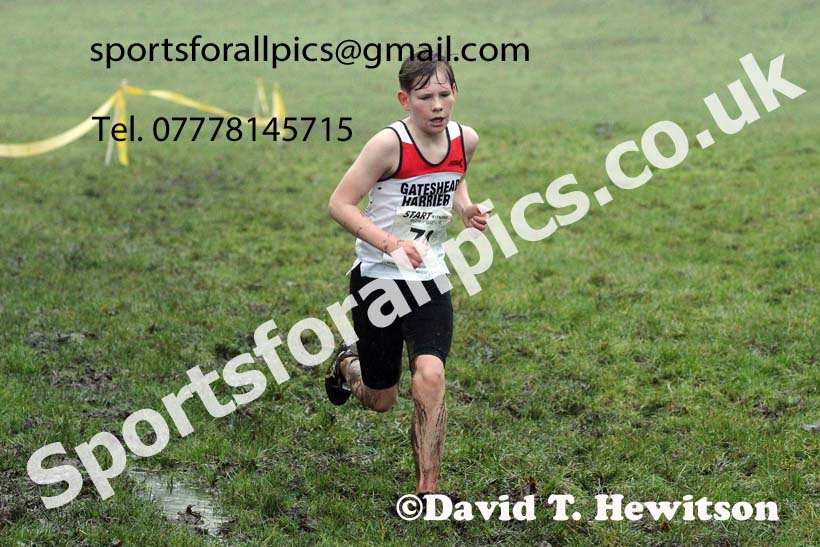 Boys under-15s, NECAA Junior Cross Country Relays, Thornley Farm, Peterlee, Saturday, December 12th. Photo: David T. Hewitson/Sports for All Pics